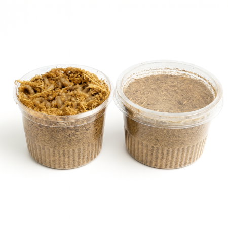 MASNÍ ČERVI - Spolehlivá živá nástraha (MAČE) | Krmiva Hulín