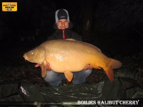 Boilies halibut/cherry