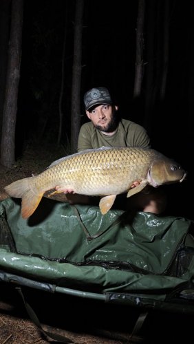 Boilies Pikantní perník