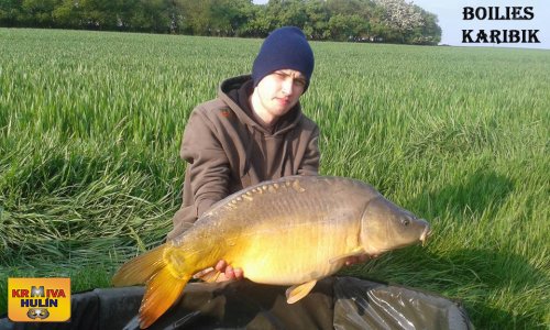 Boilies Karibik