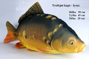 Plyšová ryba Gaby - KAPR LYSEC TROFEJNÍ - 90 cm (Gaby, PRKT90) | Krmiva Hulín Plyšová ryba Gaby - KAPR LYSEC TROFEJNÍ - 90 cm (Gaby, PRKT90) | Krmiva Hulín