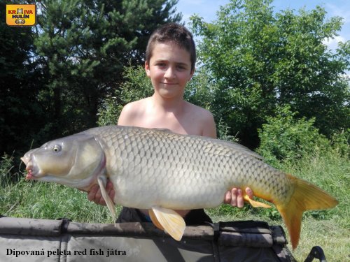 Dipovaná peleta red fish játra.