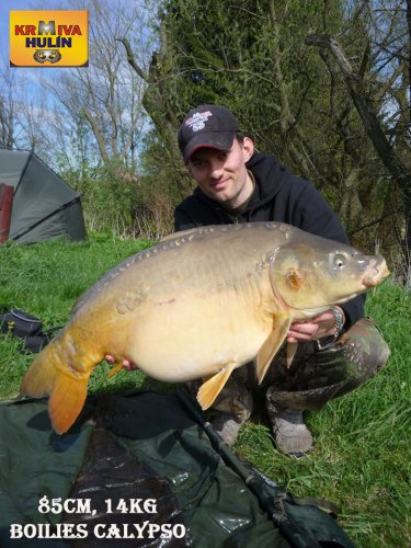 85cm, 14kg, boilies Calypso v dipu, svazová voda