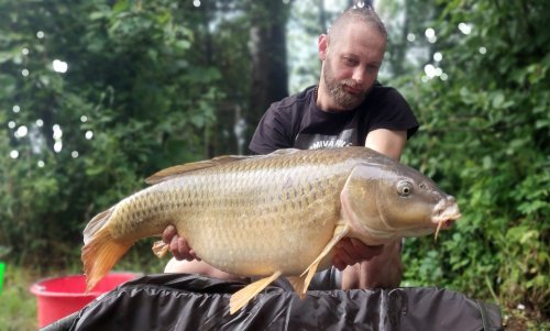 Boilies Duplex - Monster crab / Krill