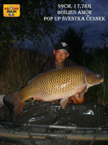 99cm, 17,7kg, boilies amur, pop up švestka/česnek