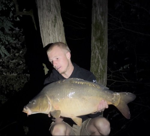 Boilies Pikantní krill