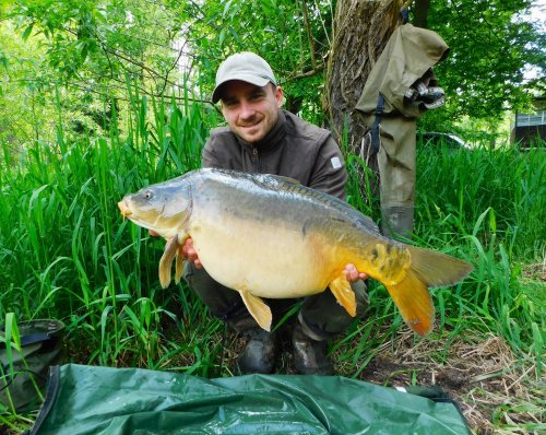 Boilies Pikantní perník