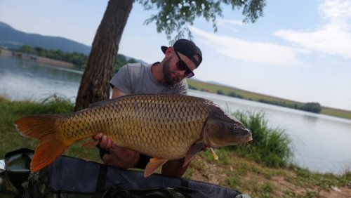 Boilies Pikantní perník Boilies Pikantní perník