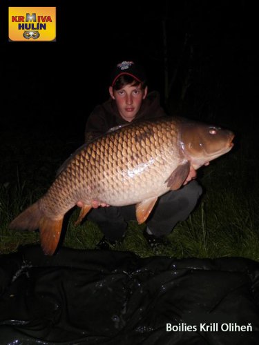 Boilies Krill/Oliheň, svazová voda