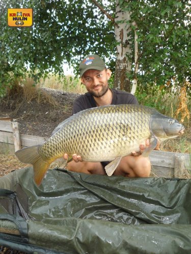 13,3kg, zig rig pop up ananas