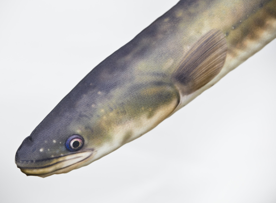 Plyšová ryba Gaby - ÚHOŘ ŘÍČNÍ - 115 cm