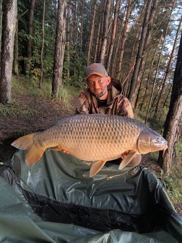 16kg, boilies Pikantní perník