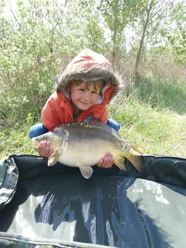 Neutrálně vyvážené boilies Krill/Oliheň