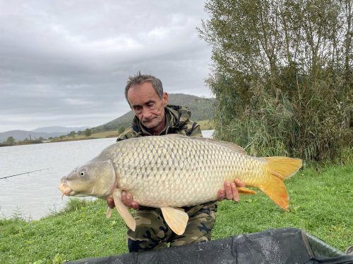 Boilies Pikantní perník Boilies Pikantní perník