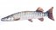 Plyšová ryba Gaby - ŠTIKA MUSKELLUNGE - 80 cm