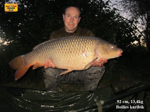 92cm, 13,4kg, boilies karibik
