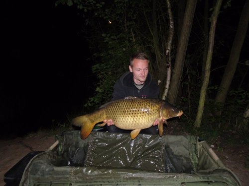 Boilies Krill/Oliheň, Pop up Ananas