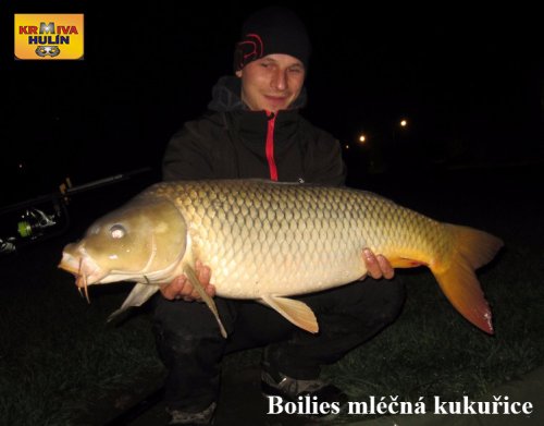 Boilies mléčná kukuřice