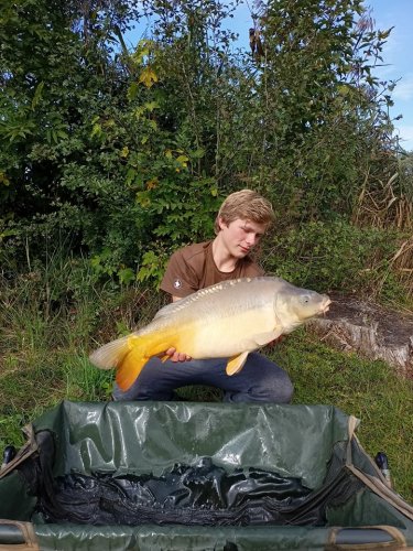 Boilies Pikantní krill
