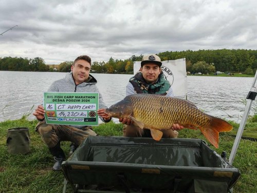 Boilies Krill a oliheň