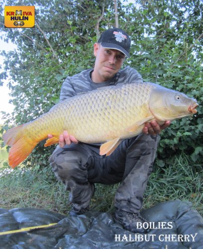 87cm, Boilies halibut/cherry