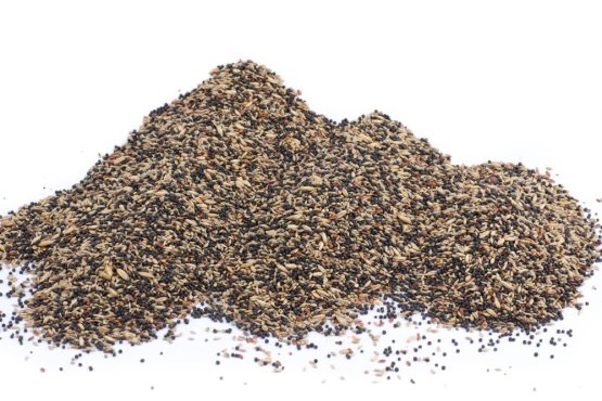 Krmivo Avest - PRO KANÁRY 13 - Vyberte balení: 500 g