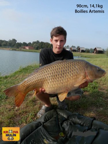 90cm, 14,1kg, Boilies Artemis