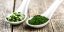 SPIRULINA TABLETY - Sladkovodní řasa 250 mg - pro psy - Vyberte balení: 100 g