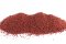 Pelety Mini - Red Halibut Coppens - Ø 2 mm (Coppens, PRHC2-1) | Krmiva Hulín
