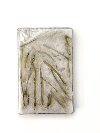 Smelts frozen monotray - mražené Korušky - Vyberte balení: 6x 70 g