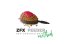 ZFISH Krmítko Method Feeder ZFX - Varianta: 20 g