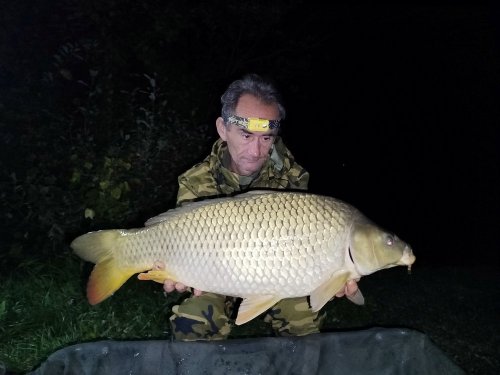 Boilies Švestka s česnekem