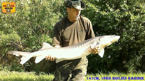 141cm, 16kg, boilies Karibik