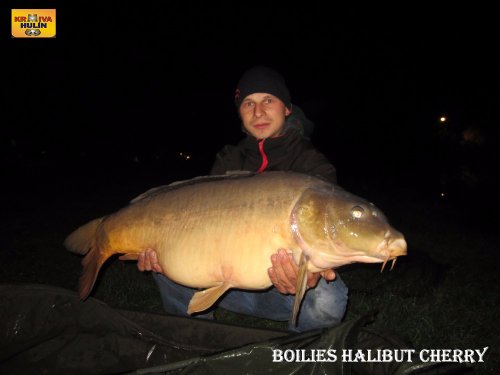 Boilies halibut/cherry