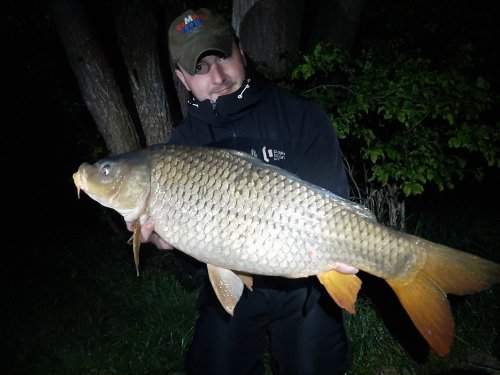 Boilies Tygří ořech