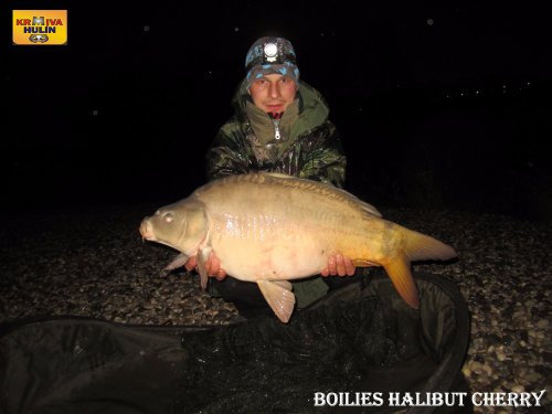 Boilies halibut/cherry