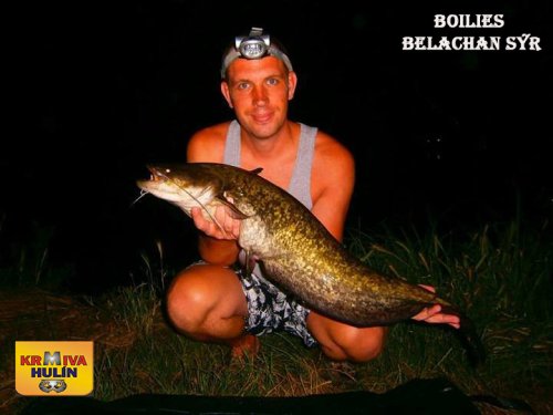 Boilies Belachan/Sýr