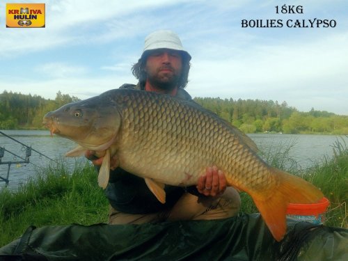 18kg, boilies calypso