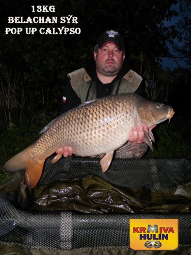 13kg, boilies Belachan/Sýr, pop up Calypso, svazová voda