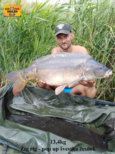 13,4kg, zig rig - pop up švestka/česnek