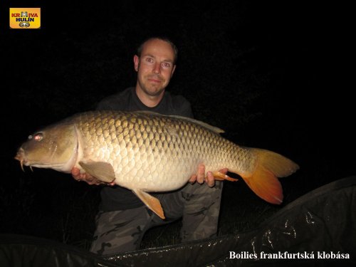 Boilies frankfurtská klobása
