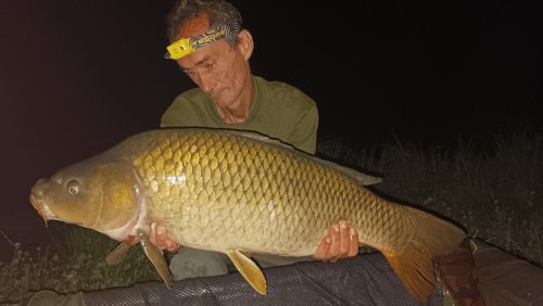 Boilies Frankfurtská klobása