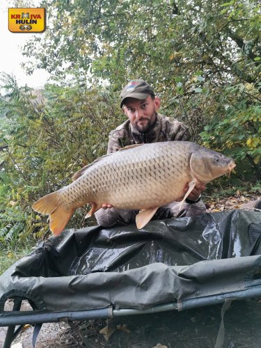 11,8kg, boilies krill a oliheň, svazová pískovna