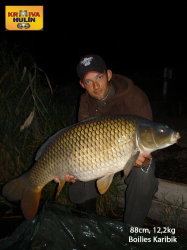 88cm, 12,2kg, boilies Karibik