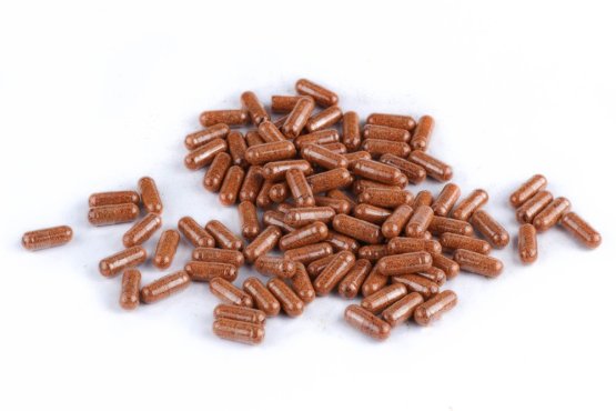 ASTAXANTHIN 1% - kapsle 500 mg - Nejsilnější přírodní antioxidant (Krmiva Hulín, ASKA-1) | Krmiva Hulín