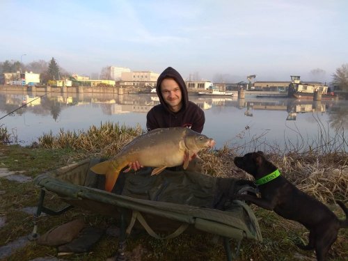 12kg, boilies krill a oliheň, pop up ananas, řeka Labe