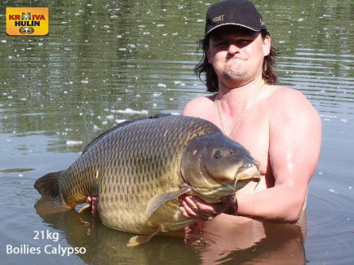 21kg, boilies Calypso