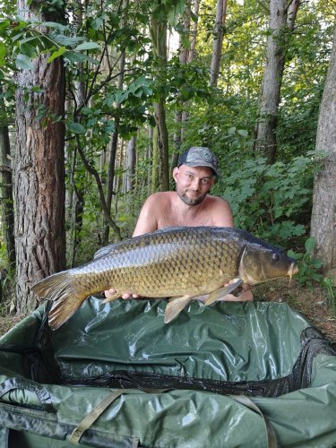 Boilies Pikantní perník