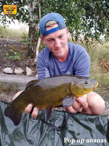 50cm, zig rig - pop up ananas