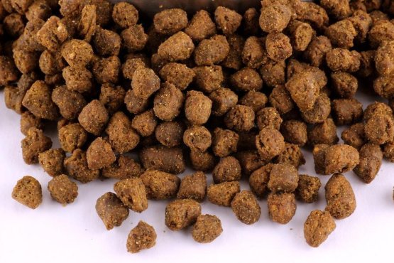KRMIVO PRO ŠTĚŇATA - Malých a středních plemen - Vyberte balení: 25 kg